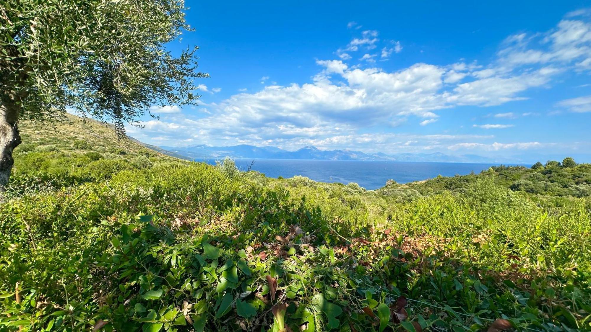 Hotel La Casa Di Paolo Casa Di Charme Marina di Camerota Zewnętrze zdjęcie
