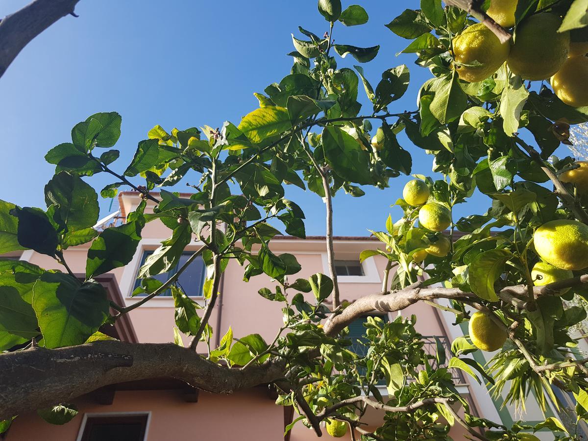 Hotel La Casa Di Paolo Casa Di Charme Marina di Camerota Zewnętrze zdjęcie